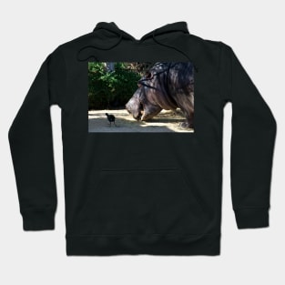 Hippo Vegetarian Hoodie